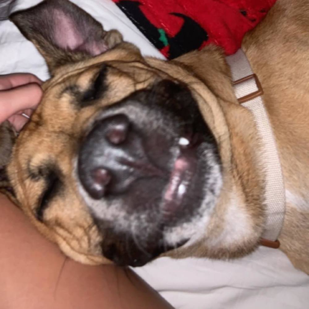 Meet your Posher, Hailey